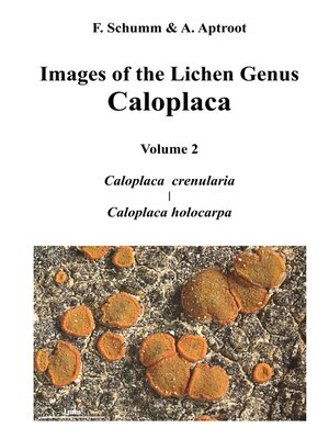 cover image of Images of the Lichen Genus Caloplaca, Vol 2
